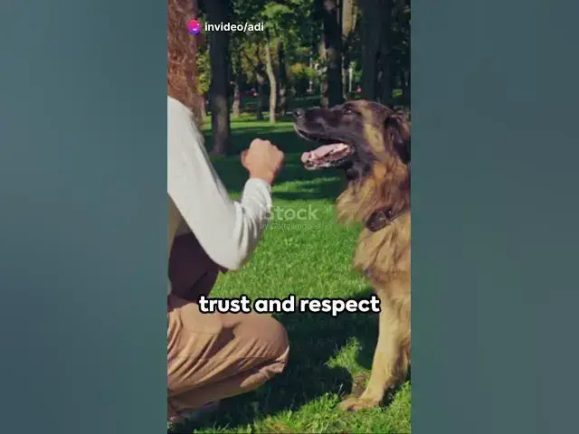 Video thumbnail for Welcome to the Paws German Shepherd Stor #dog #happydog #blog #gsd  #dogfood  #germanshepherd