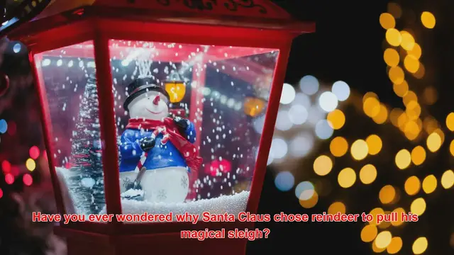 Video thumbnail for Why Are Reindeer Used As Santa’s Transportation?