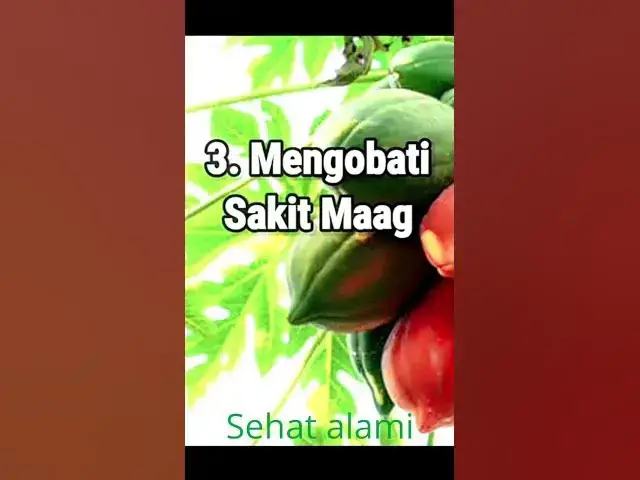 'Video thumbnail for Manfaat daun pepaya untuk Kesehatan#shorts #manfaatdaunpepaya #videoshort'
