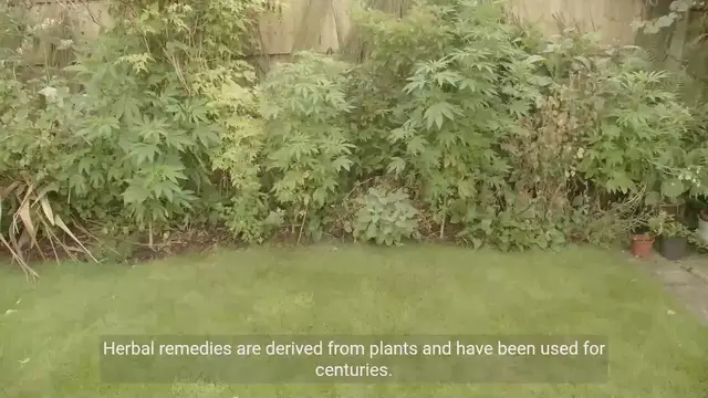 Video thumbnail for The Power of Herbal Remedies: Natural Solutions for treatment