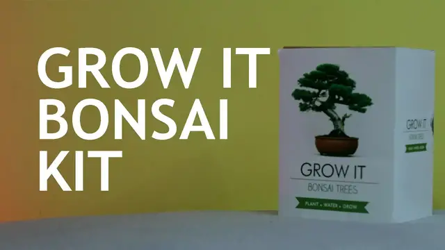 Video thumbnail for Grow It Bonsai Kit (0-6 months). Part 1