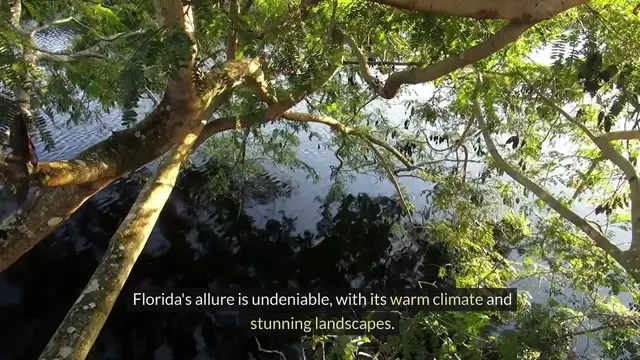 'Video thumbnail for Safest Cities for Hurricanes in Florida'