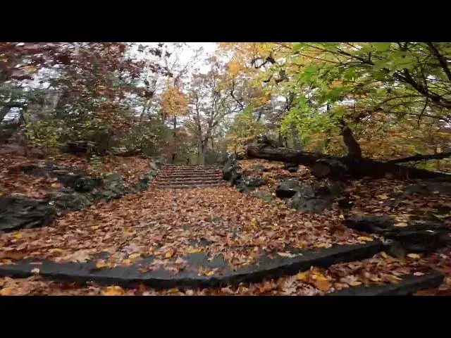 Video thumbnail for Urban Parks:  A Healthy Walk Up Steps Inside Gorgeous Nature of Franklin Park Boston MA