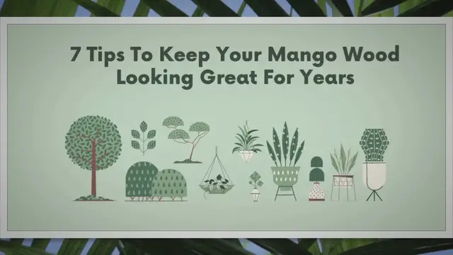 Video thumbnail for 7 Tips To Keep Your Mango Wood Looking Great For Years | SARPO