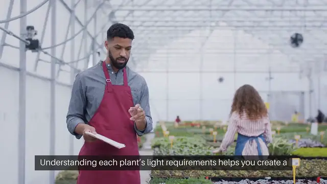Video thumbnail for Selecting Plants By Sunlight