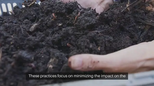 Video thumbnail for Sustainable Gardening Practices