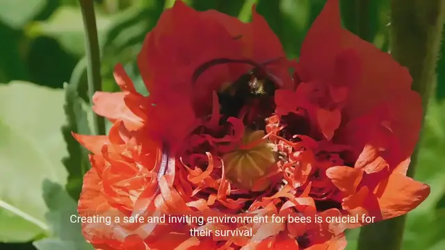 Video thumbnail for Building Bee Houses, Hives, and Pollinator Gardens