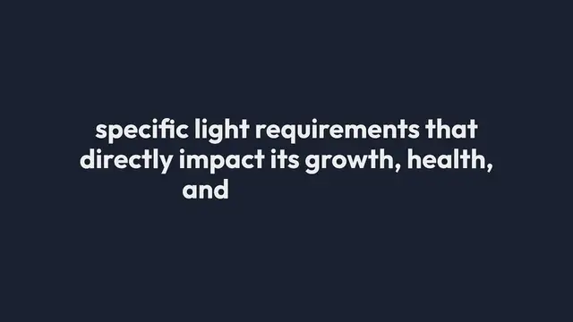 Video thumbnail for Matching Plants To Sunlight