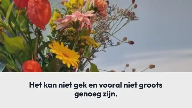 Video thumbnail for Eco Create Decorate your room – een doos vol duurzaam knutselplezier