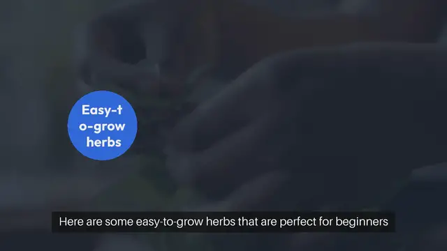 Video thumbnail for Easy Herbs To Grow At Home