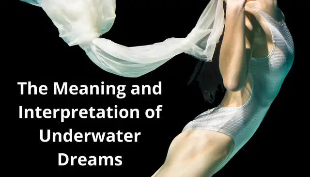 Video thumbnail for The Meaning and Interpretation of Underwater Dreams