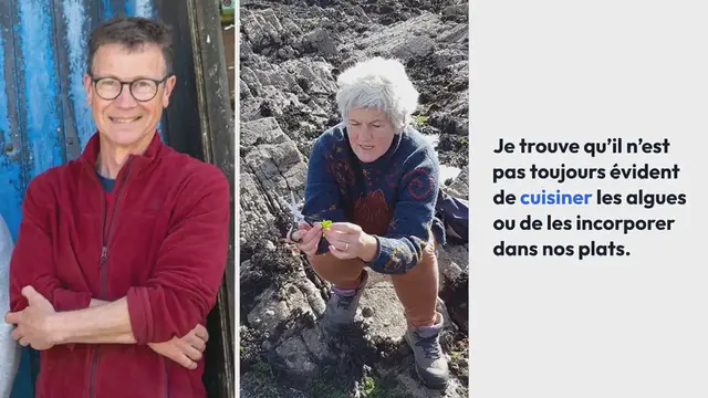 Video thumbnail for Comment cuisiner les algues fraîche & séchées (déshydratées)