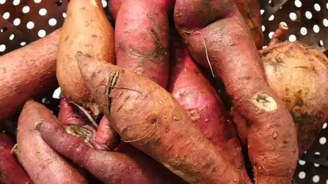 'Video thumbnail for How to Make Sweet Potatoes in an Instant Pot _ You Can Cook That _ Allrecipes.com(720P_HD)'