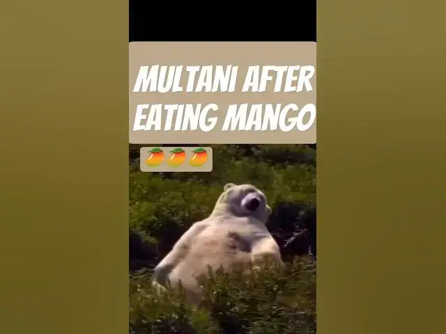 Video thumbnail for After Mango party #mango #fun #memes