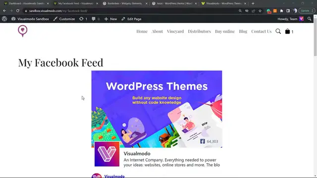 Video thumbnail for How to Customize Facebook Posts & Feeds in WordPress Using Smash Balloon Social Plugin FREE