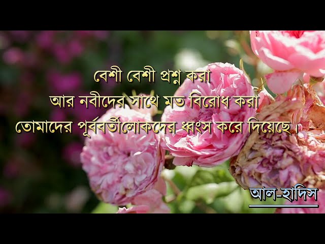 Video thumbnail for বেশী বেশী প্রশ্ন করা ,নবীদের সাথে মত বিরোধ করা তোমাদের পূর্ববর্তী লোকদের ধ্বংস করে দিয়েছে।(হাদীস-৯)