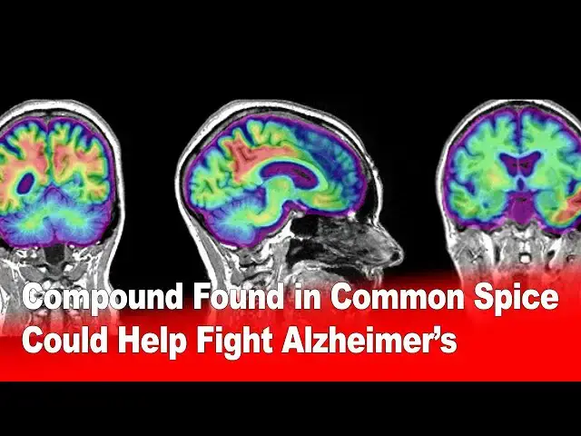 Video thumbnail for Compound Found in Common Spice Could Help Fight Alzheimer’s 🧠🧂