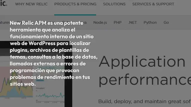 Video thumbnail for Cómo Encontrar Los Cuellos de Botella de Rendimiento de WordPress con New Relic