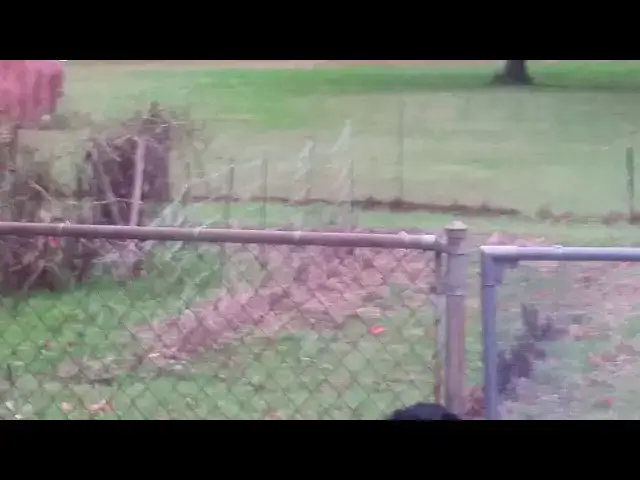 Video thumbnail for November 10, 2017