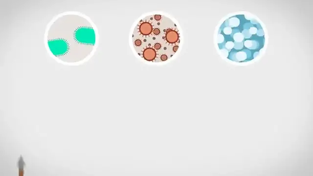 Video thumbnail for The Immune System Explained I – Bacteria Infection