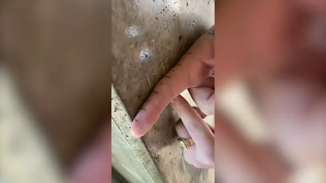 Video thumbnail for Tattoo Artist Inks Ruler Tattoo On Fiancé's Finger
