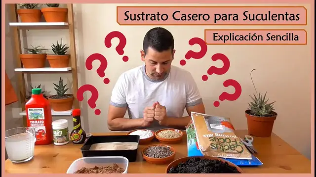 Video thumbnail for Cómo hacer el Sustrato perfecto para Suculentas