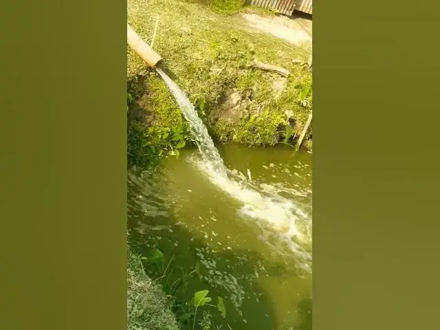 'Video thumbnail for #shorts #nature #fishing'