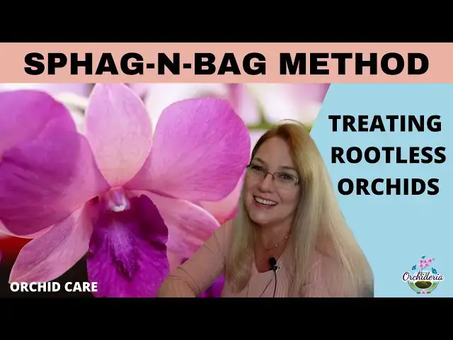 Video thumbnail for Why the Sphag-n-bag Method Doesn't Work & How to Do It Right