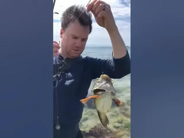 Video thumbnail for Catching Massive Buffalo Sculpin near Sechelt | Sunshine Coast