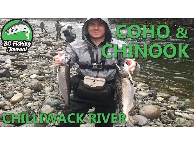 'Video thumbnail for Chilliwack River - Coho & Chinook Salmon'