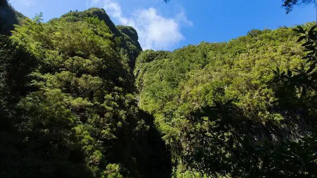 Video thumbnail for Caldeirao Verde | Madeira