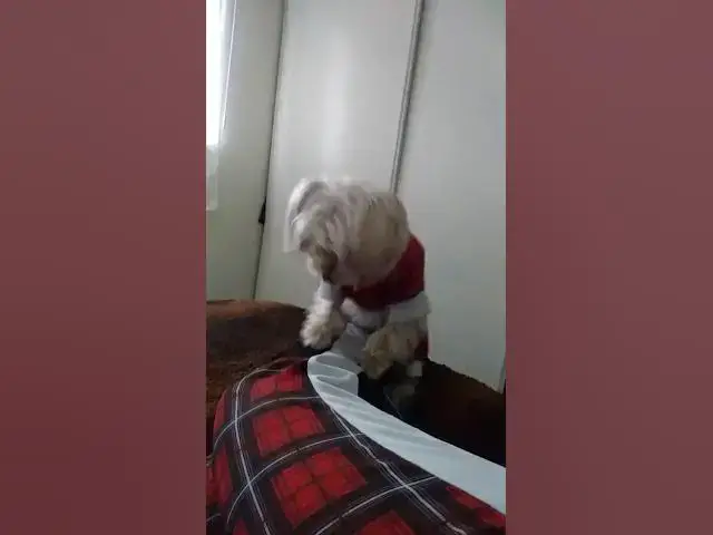 Video thumbnail for London gettin it