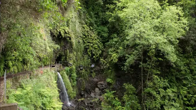 Video thumbnail for Wanderung entlang der Faja do Rodrigues | Madeira