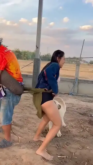 Video thumbnail for Eu não vou te soltar nunca mais 😂