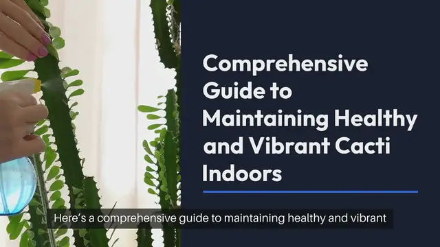 Video thumbnail for The Ultimate Guide to Indoor Cactus Care