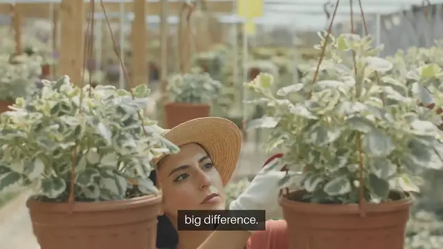 Video thumbnail for Indoor Gardening Tools You Didn’t Know You Needed