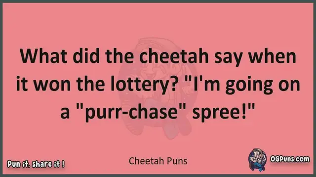 Video thumbnail for Cheetah - Jokes, Puns, Wordplays, and Laughter