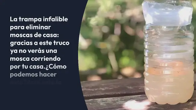 'Video thumbnail for La trampa infalible para eliminar las moscas de la casa: no verás una alrededor'