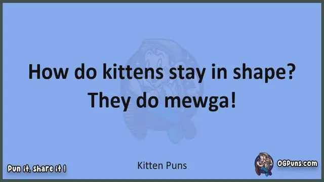 Video thumbnail for Kitten - Jokes, Puns, Wordplays, and Laughter
