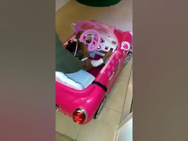 Video thumbnail for Rontryelle first car.