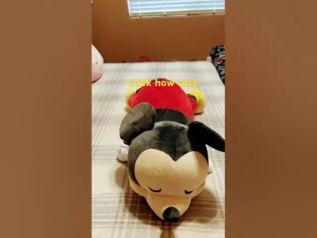 Video thumbnail for Look how Cute