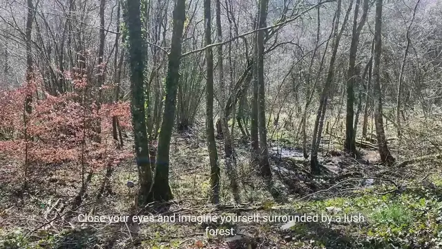 Video thumbnail for Nature-Inspired Mindfulness Practices for Relaxation