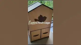 'Video thumbnail for zebra finch care guide'