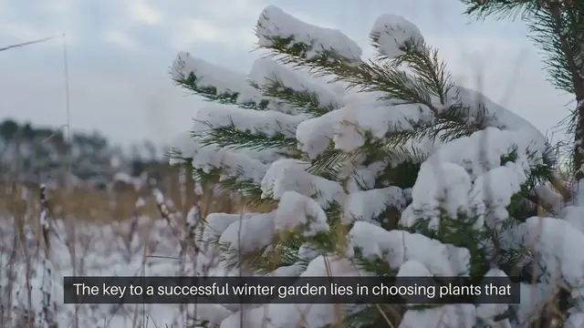 Video thumbnail for Best Plants for Winter Patio Gardens