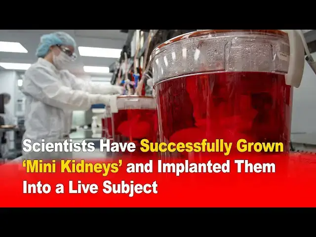 Video thumbnail for Scientists Successfully Grow ‘Mini Kidneys’ and Implant Them Into a Live Subject 🧬🧪