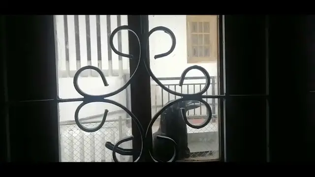 Video thumbnail for Crow Ask the Food