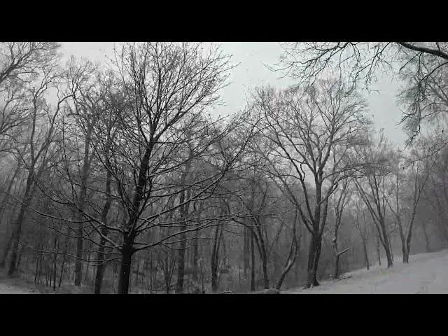 Video thumbnail for Urban Parks: Franklin Park in Boston, Massachusetts