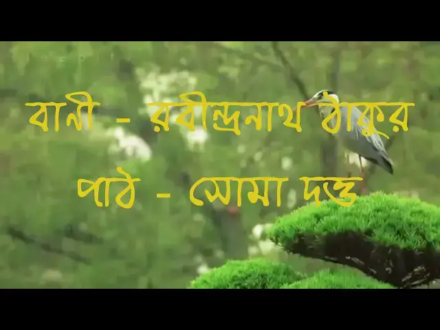 'Video thumbnail for বাণী - রবীন্দ্রনাথ ঠাকুর, পাঠ - সোমা দত্ত, আবহ - শুভ্রনীল'