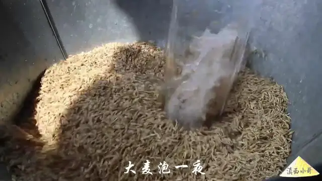 'Video thumbnail for 手工麦芽糖，每年都会做的甜食【滇西小哥】 (720p 30fps)'