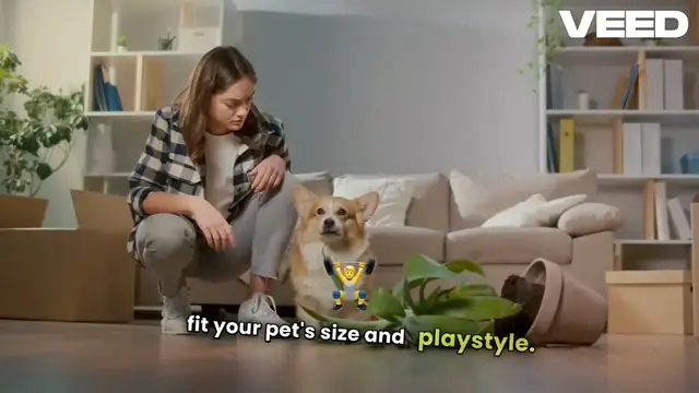 Video thumbnail for Best Pet Supplies for Your Furry Friend